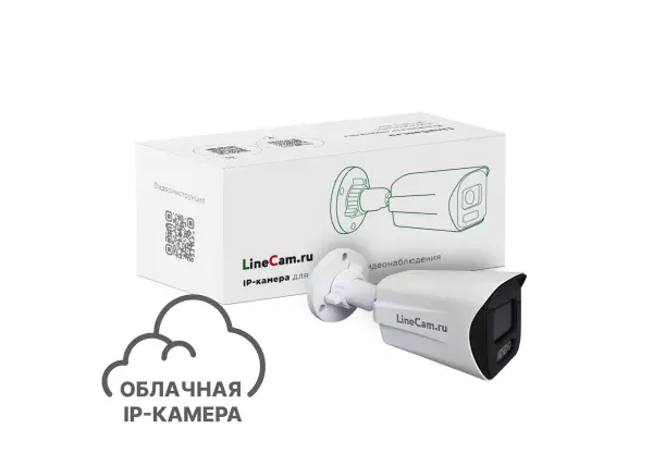 IP-камера Линия 4Mp OEM Agent Bullet в комплекте с коробкой