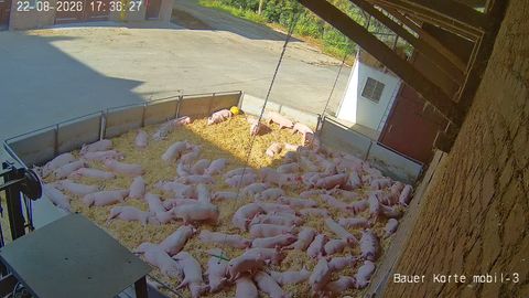 Live stream of a general view inside an animal housing building