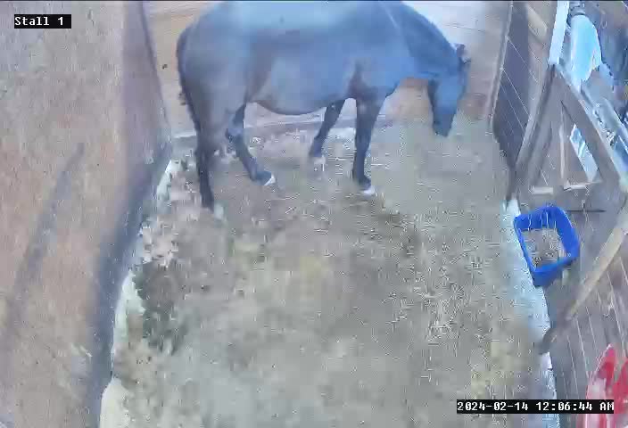 Live view of the indoor arena at an equestrian club