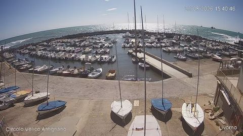 Live stream: the harbour entrance and the water