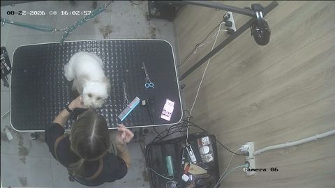 Secure live stream of a grooming session